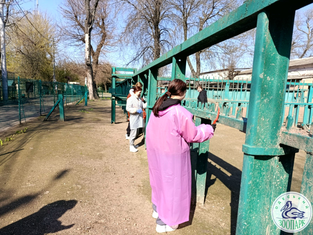 10834 image for slide