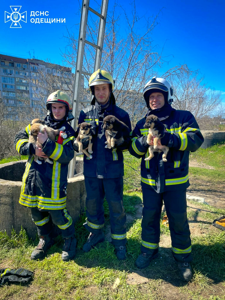 10961 image for slide