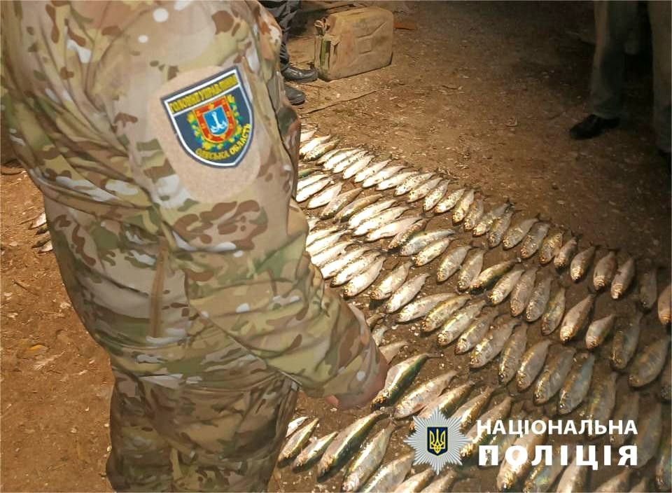 10969 image for slide