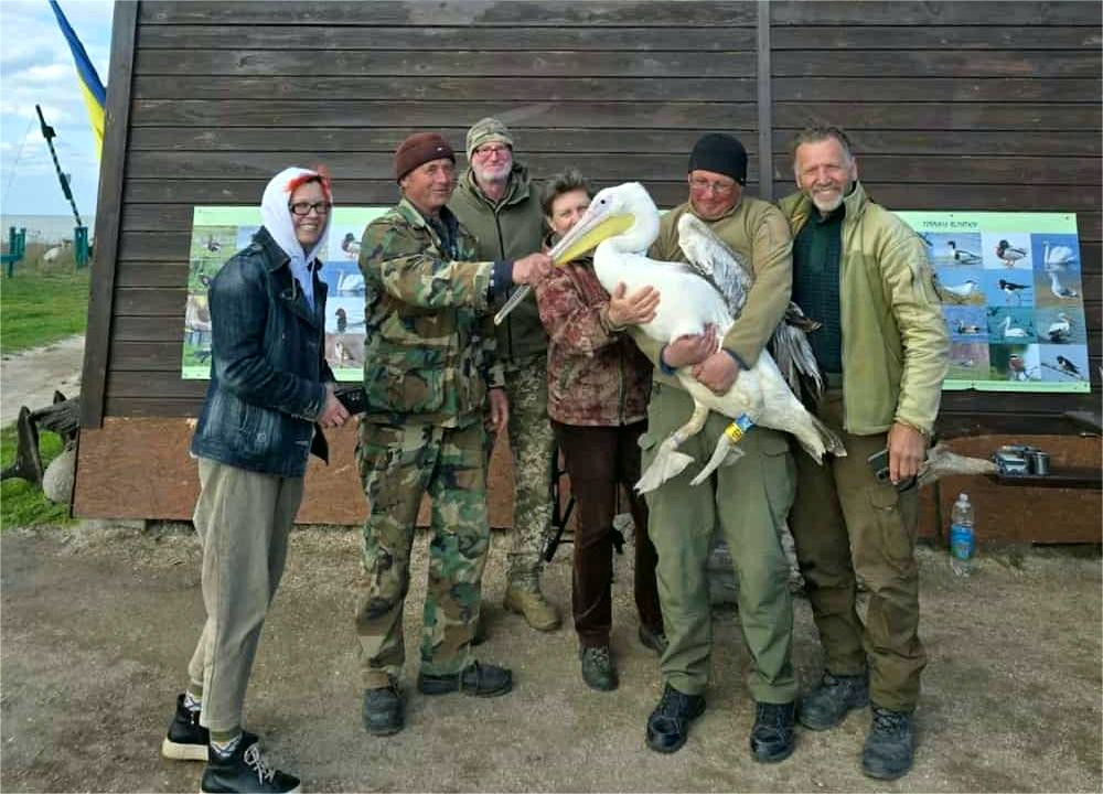11042 image for slide