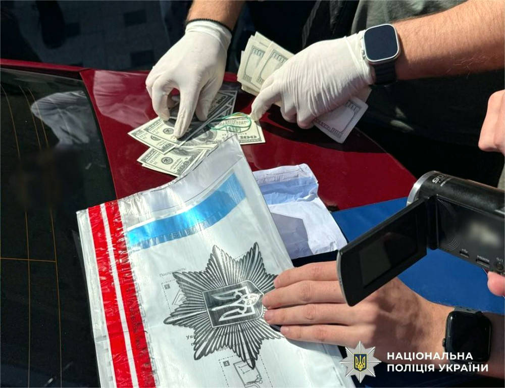 11240 image for slide