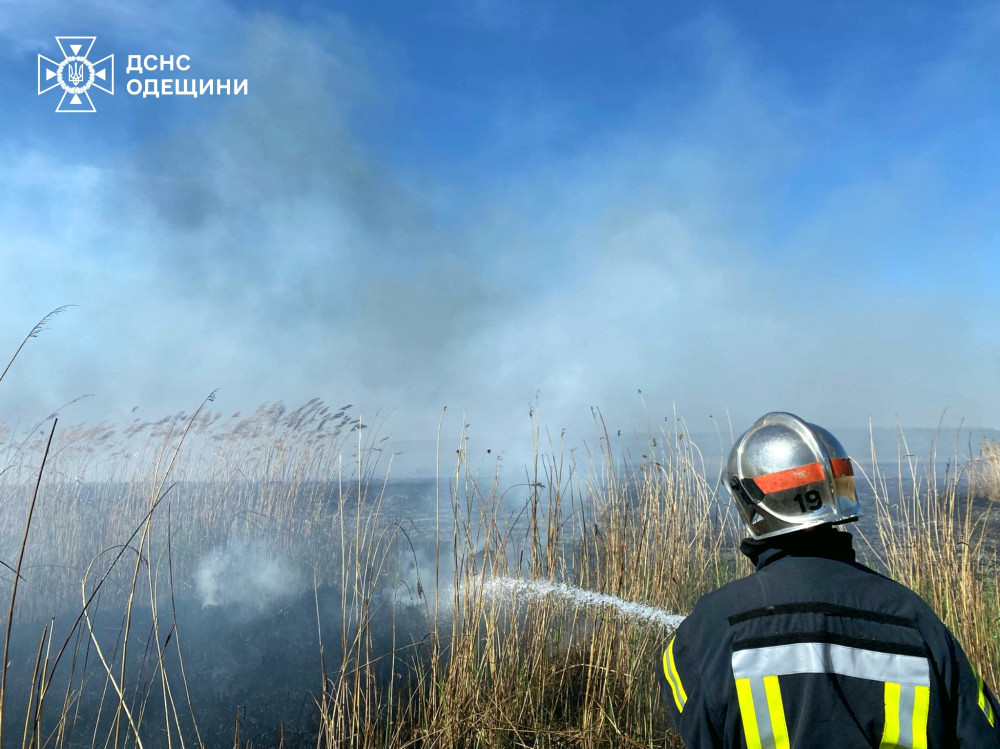 11297 image for slide