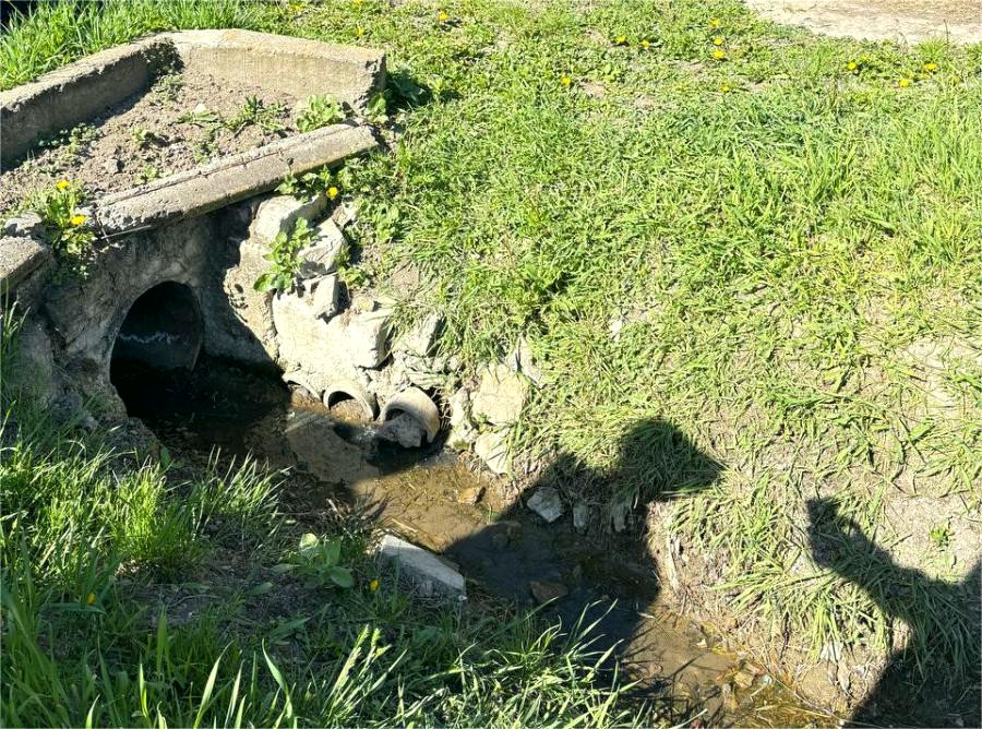 11309 image for slide