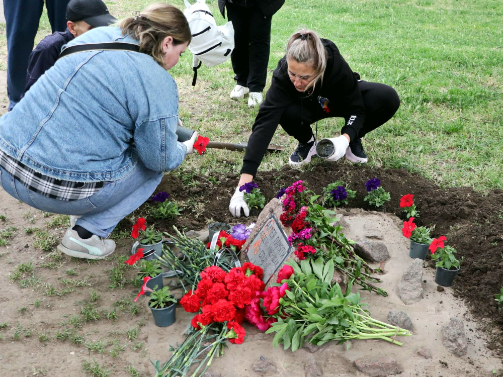 11509 image for slide