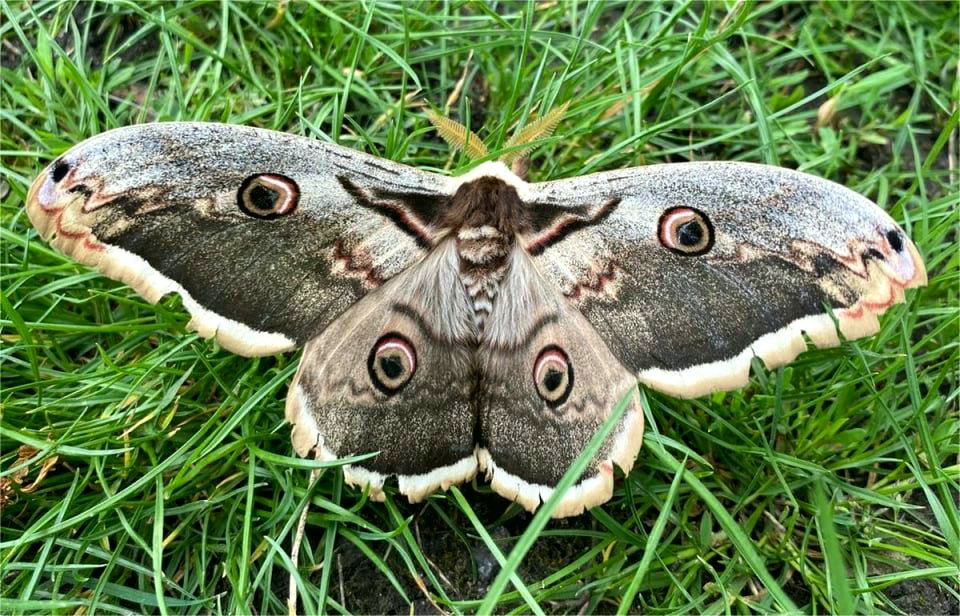 11783 image for slide