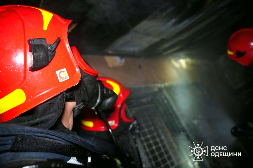 11900 image for slide