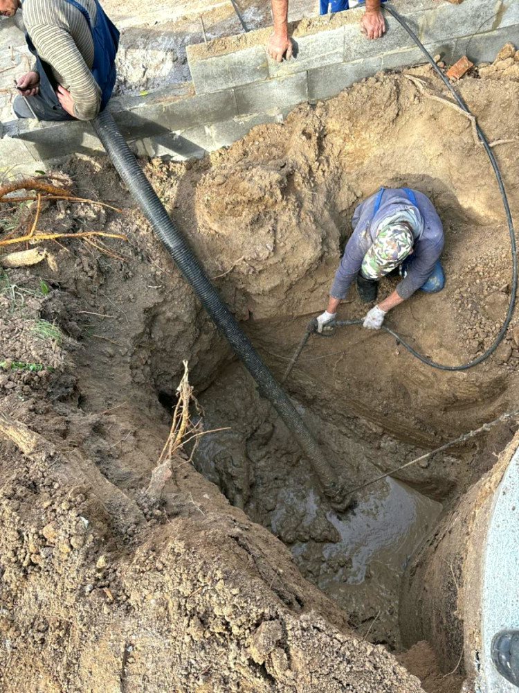 12066 image for slide