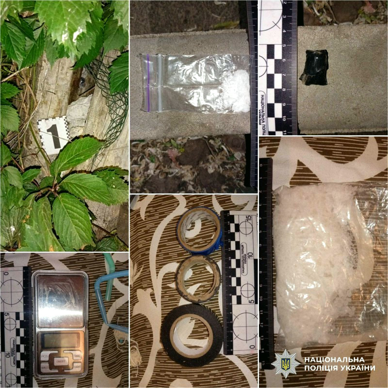 12223 image for slide