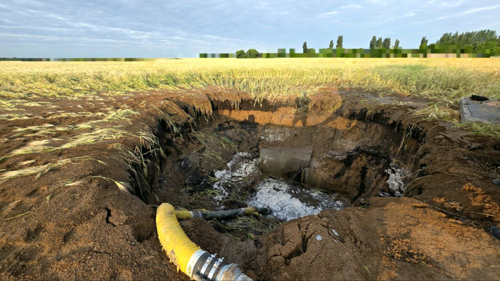 12274 image for slide