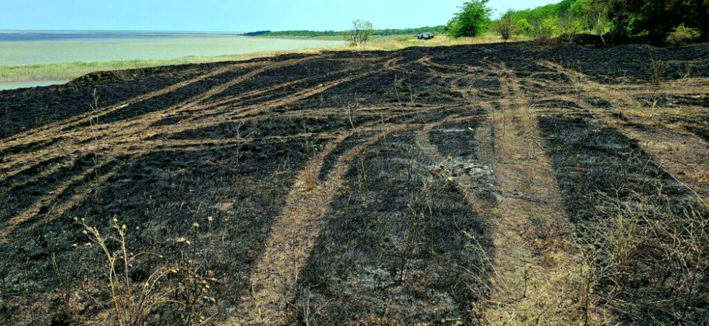 12356 image for slide