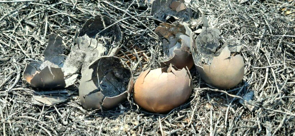 12359 image for slide