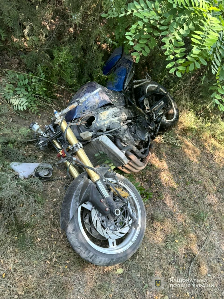 12957 image for slide