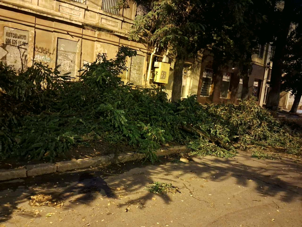 13421 image for slide