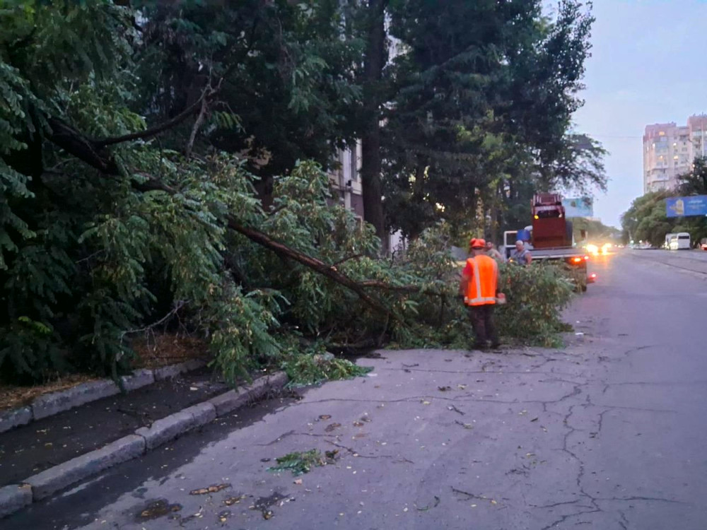 13424 image for slide