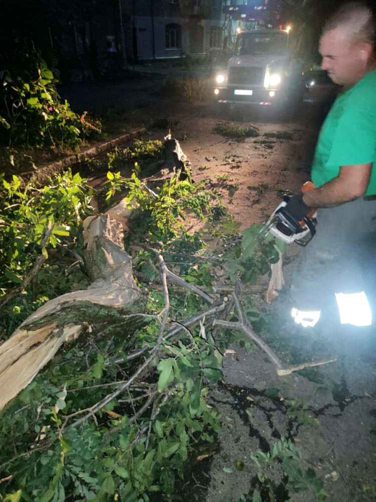 13427 image for slide