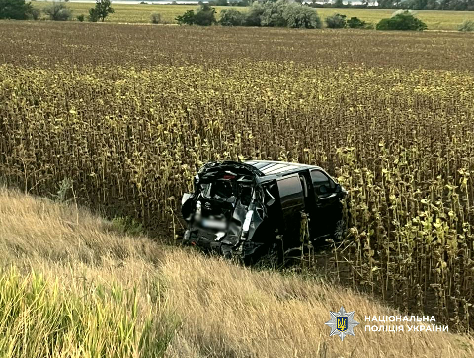 13665 image for slide