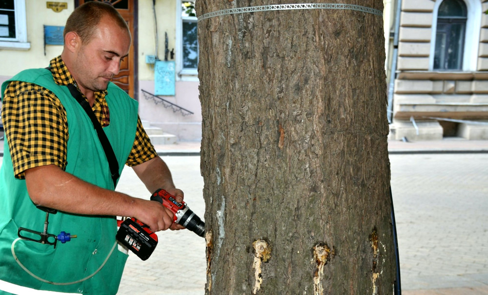 13750 image for slide