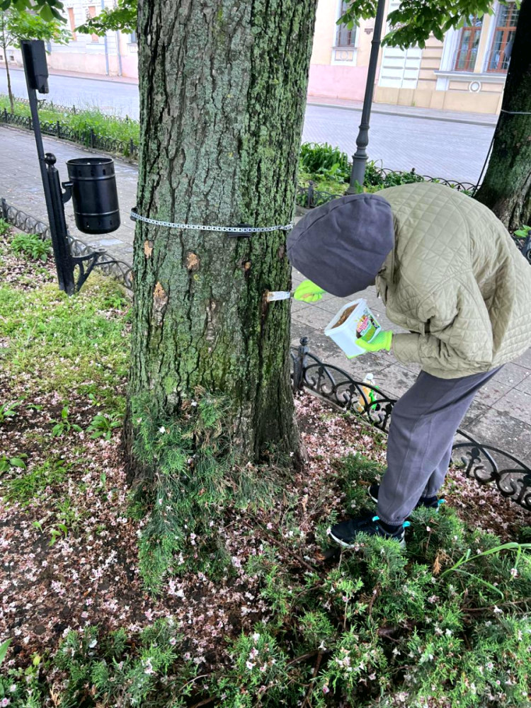 13754 image for slide