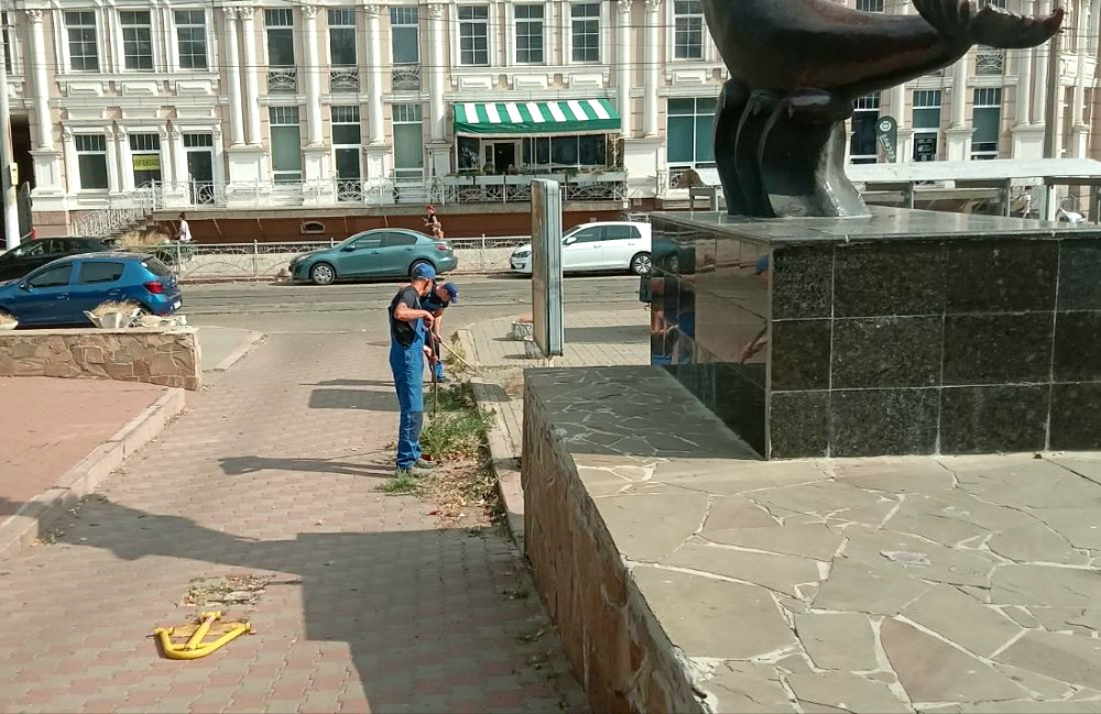 13783 image for slide