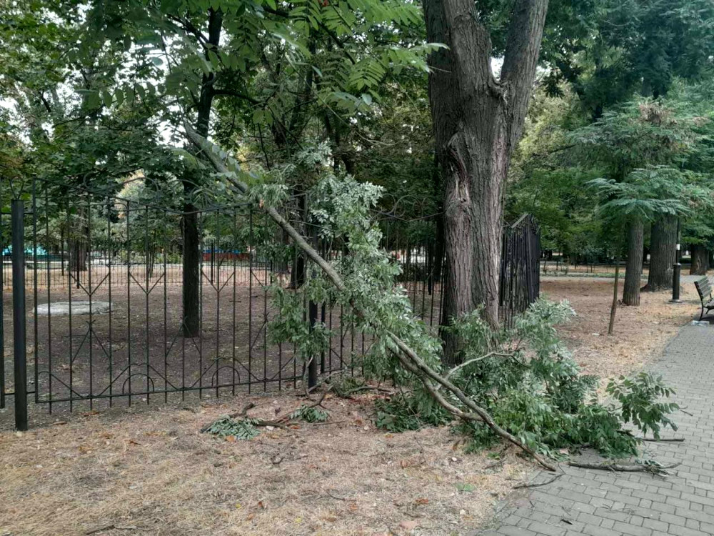 14030 image for slide