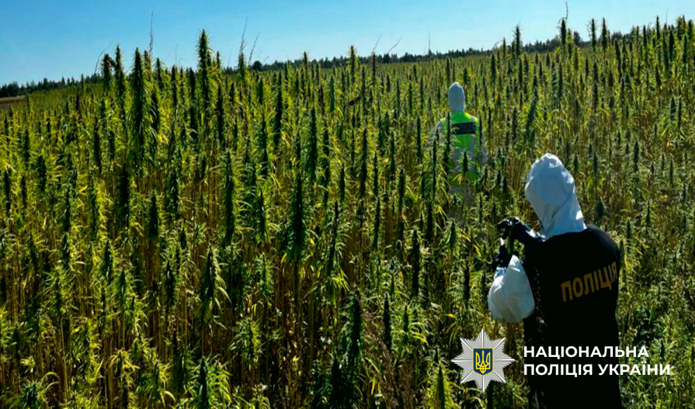 14539 image for slide