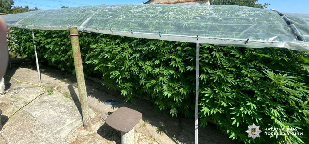 14540 image for slide