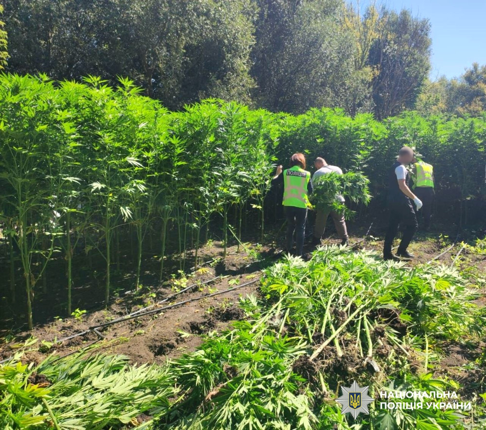 14541 image for slide