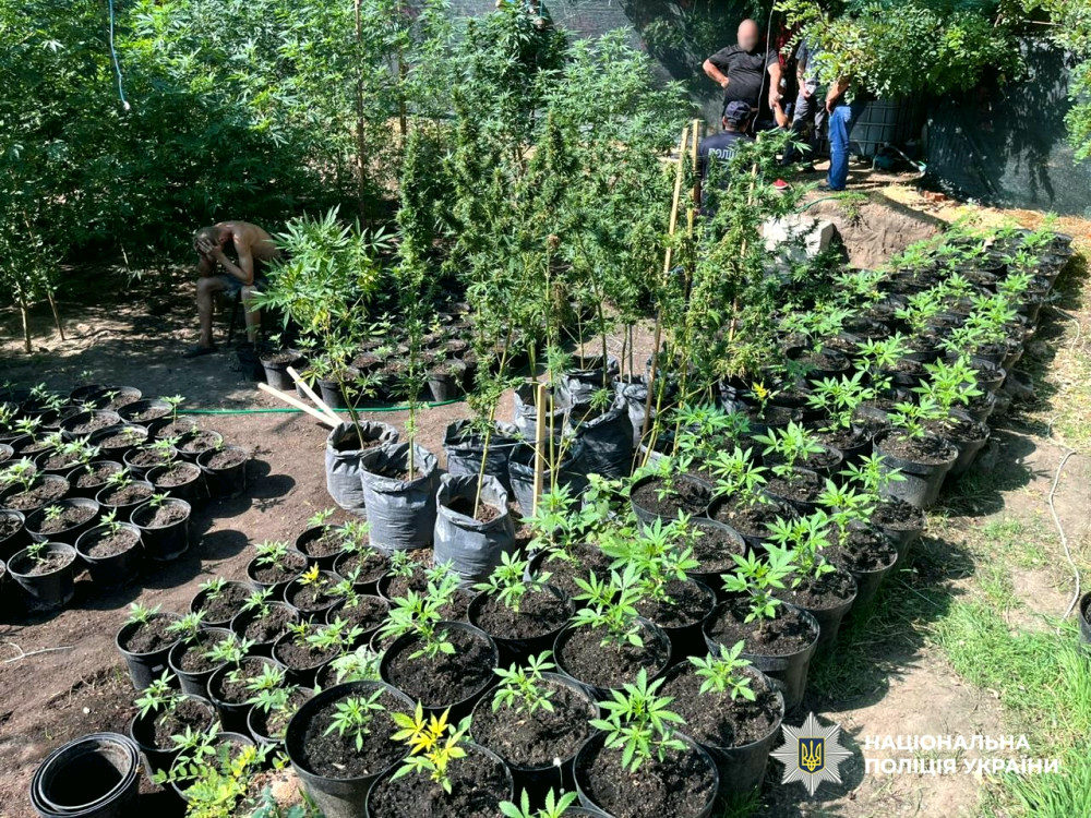 14542 image for slide