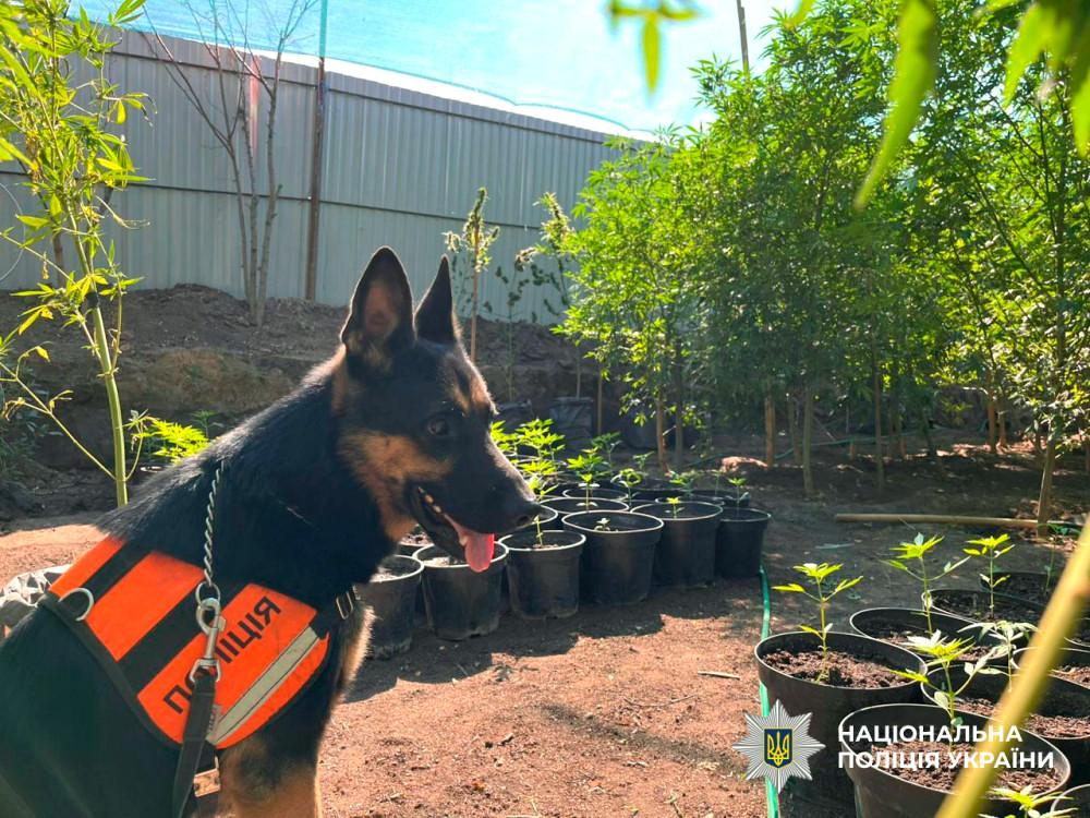 14543 image for slide