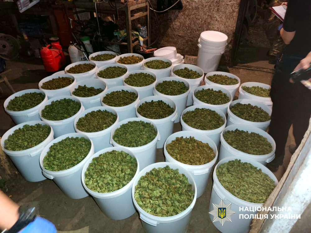 14544 image for slide