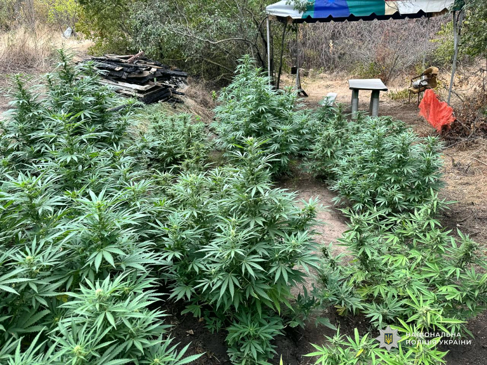 14610 image for slide