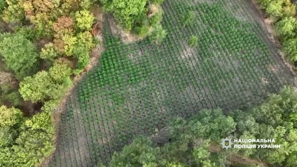 14611 image for slide