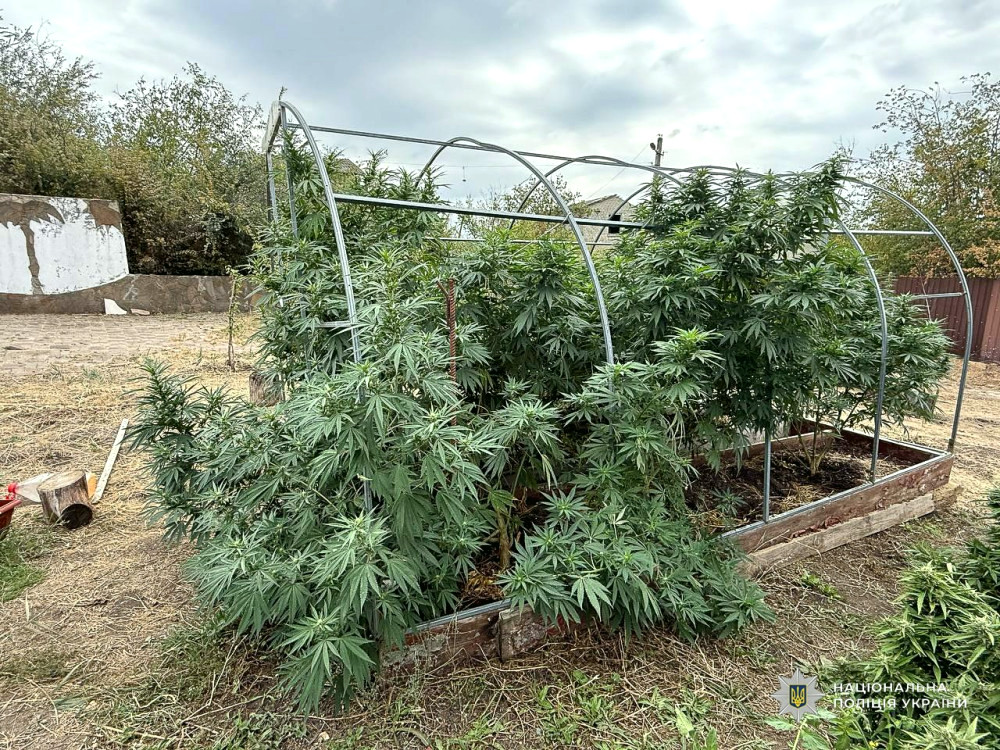 14612 image for slide