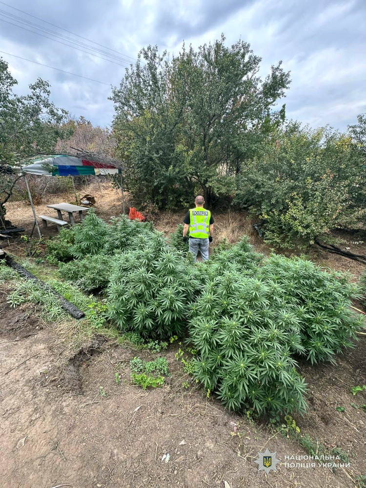 14613 image for slide