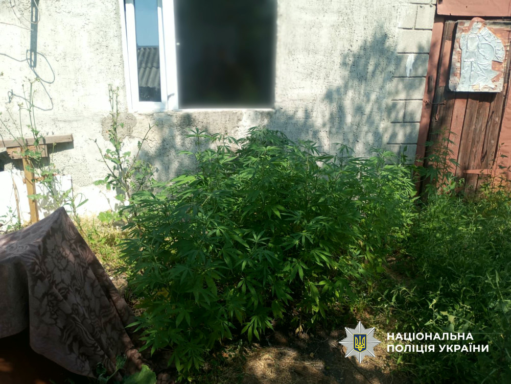 14644 image for slide