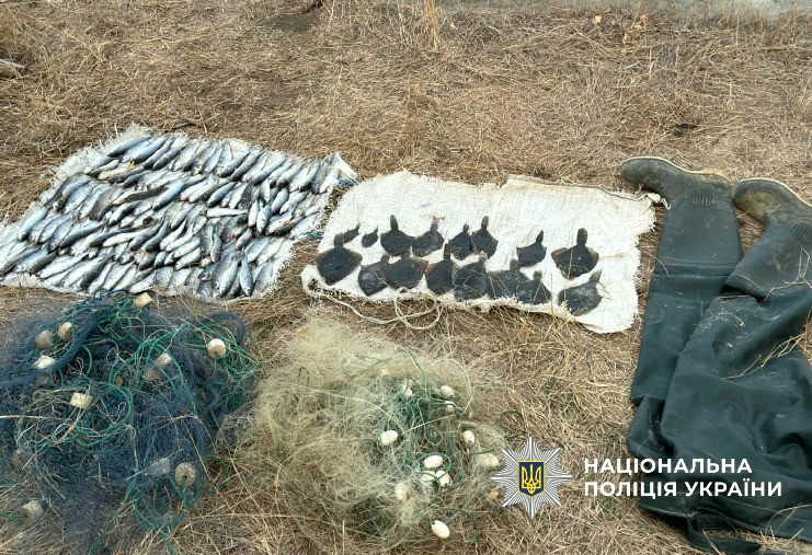 15061 image for slide