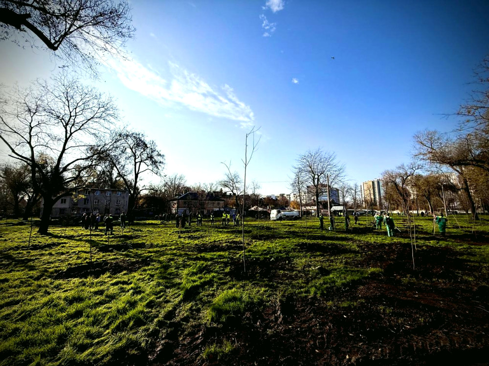 16007 image for slide