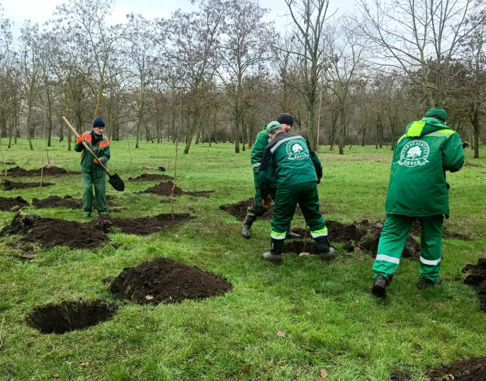 16341 image for slide