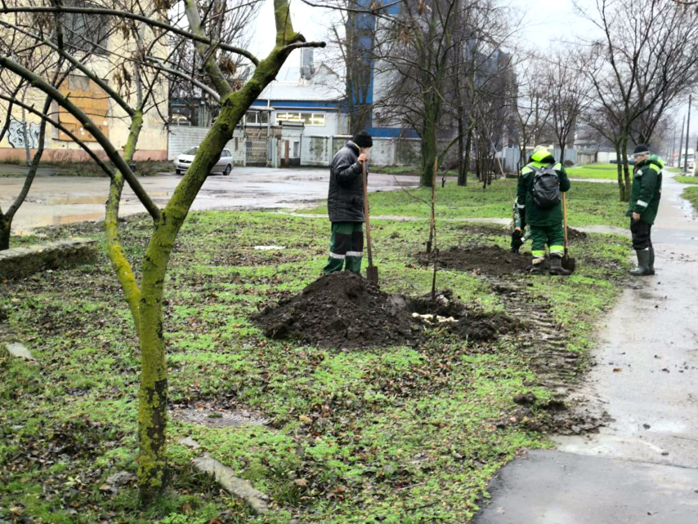 16342 image for slide