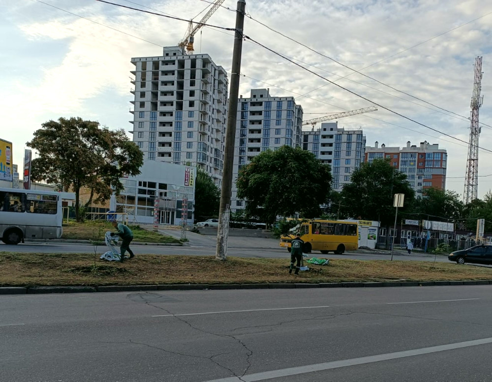 7904 image for slide