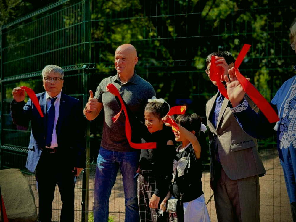 7994 image for slide