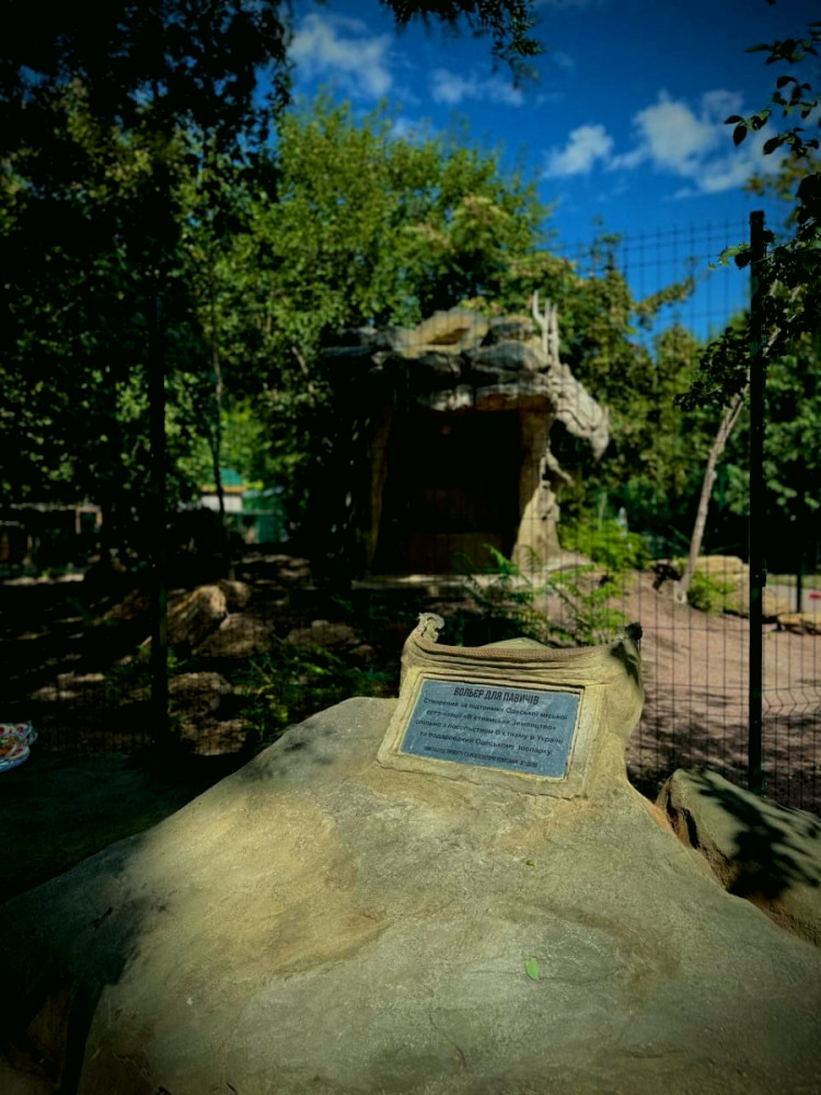 7997 image for slide