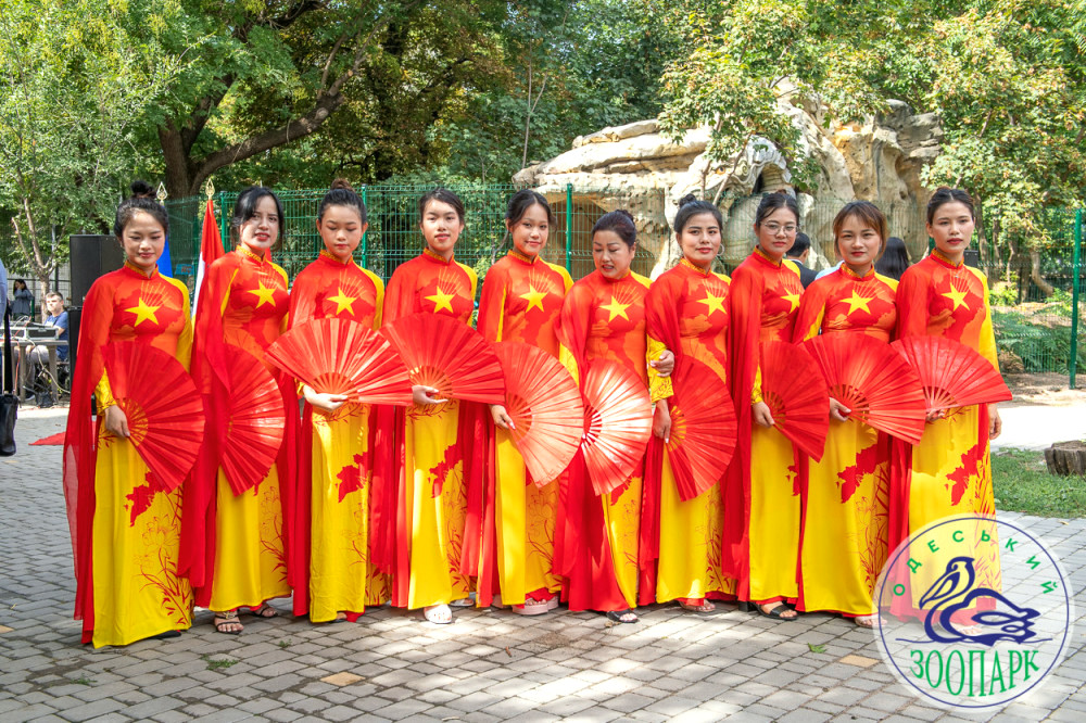 8002 image for slide