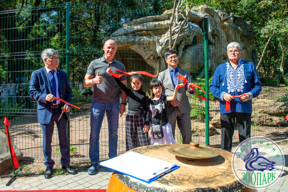 8003 image for slide