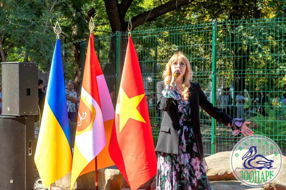 8006 image for slide