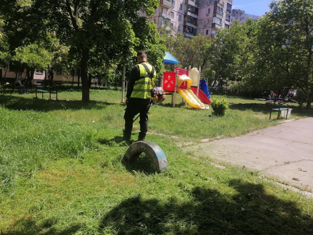 8224 image for slide