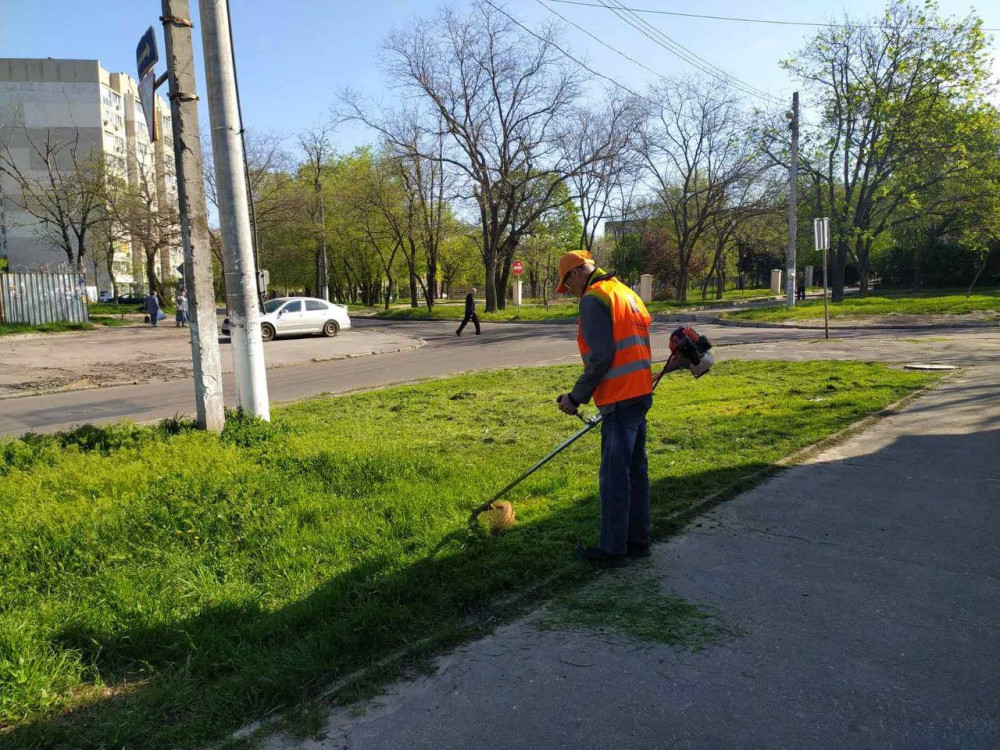 8248 image for slide