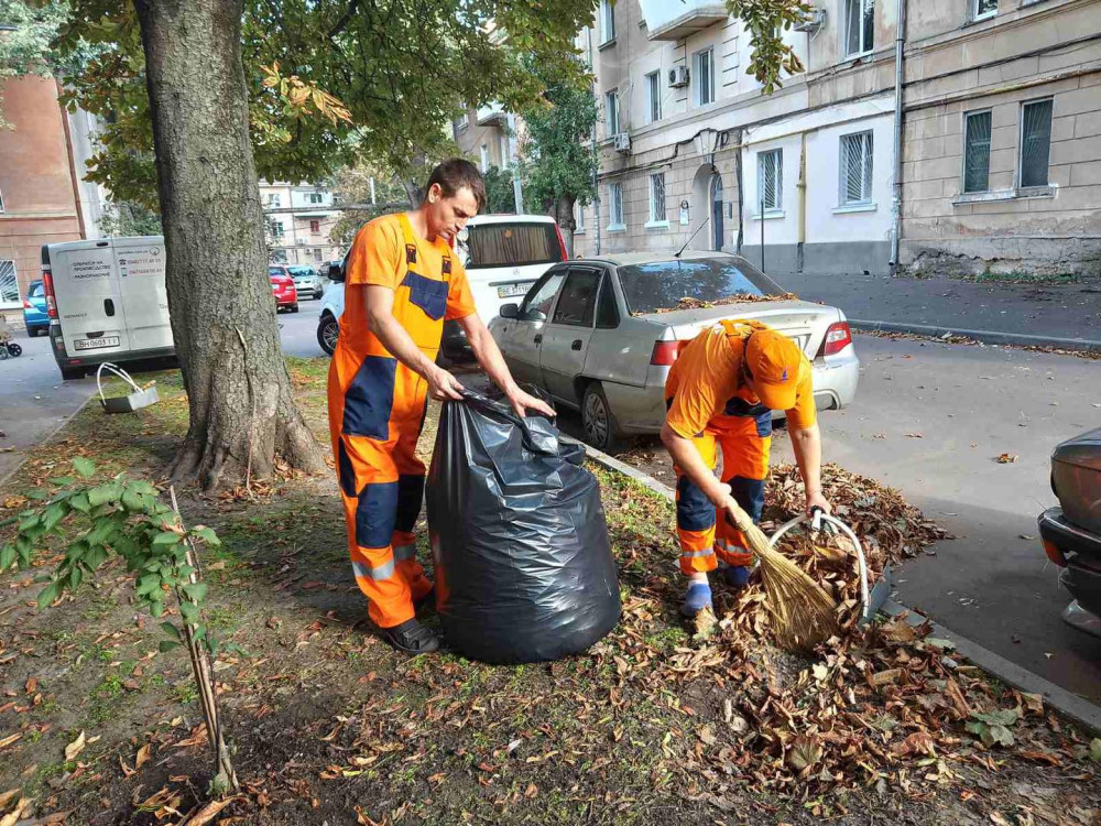 8251 image for slide