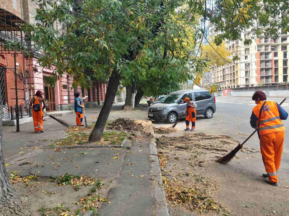 8252 image for slide