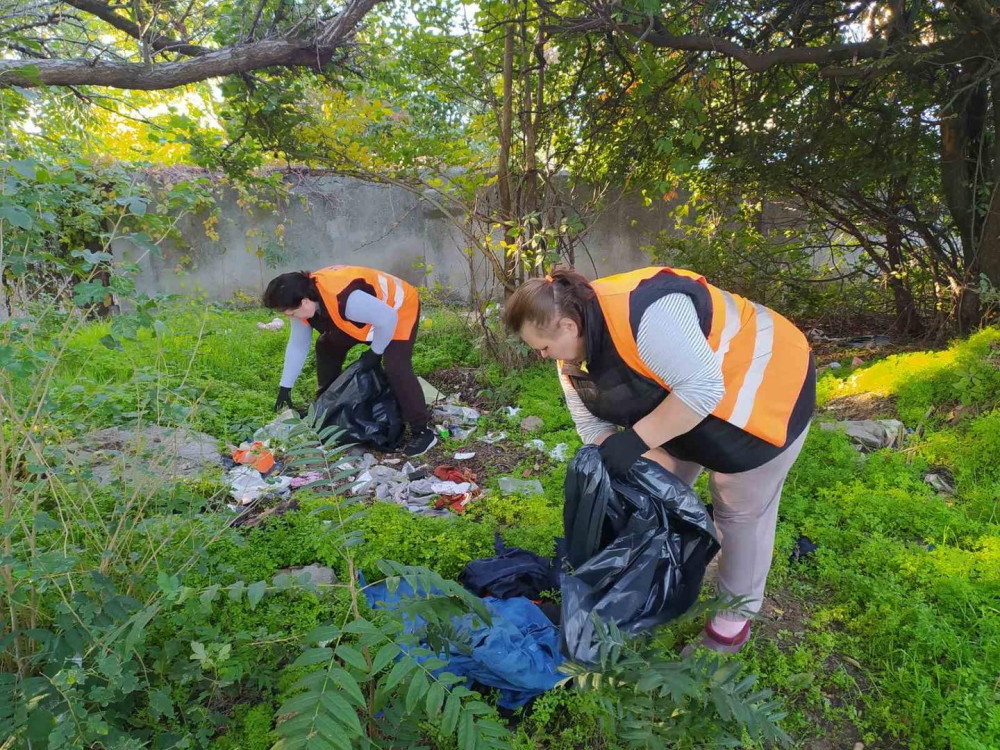 8254 image for slide